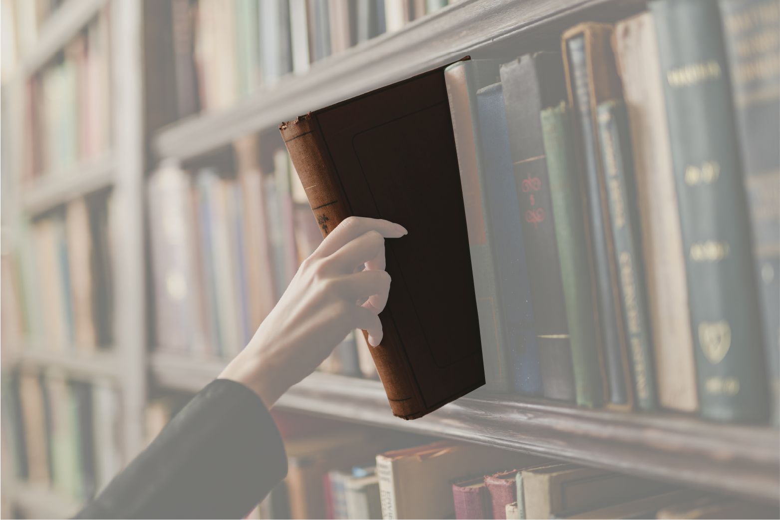 保険相談のイメージ